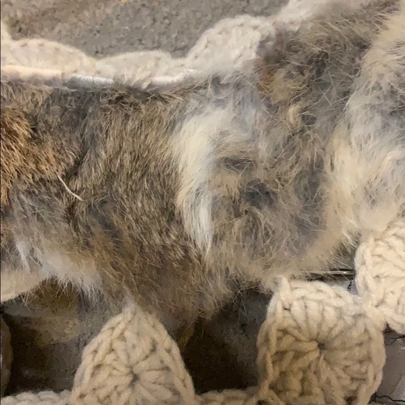 Jacket - Picture 7 of 8